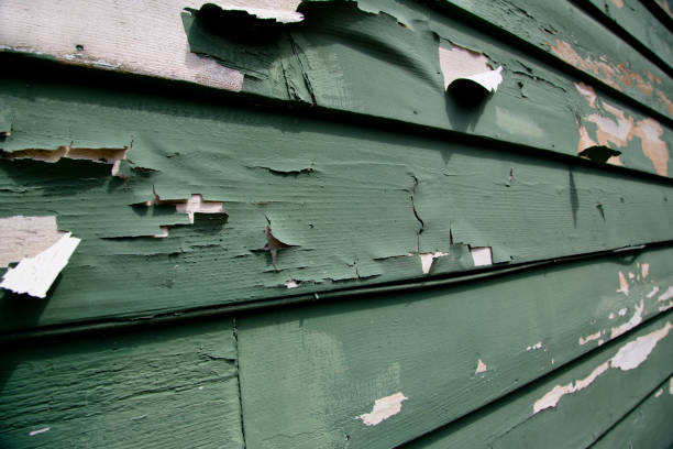 Best Recycling Services for Junk  in Cayuga, IN